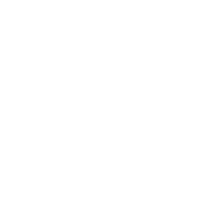 Noa Experience Logo